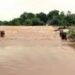 Odisha flood relief