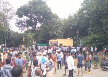 Elephant attack in Hindol