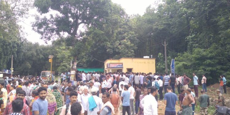 Elephant attack in Hindol