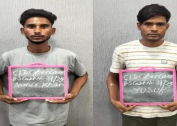 Online Hotel Booking Fraud