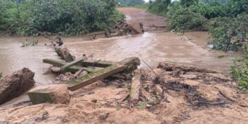 Bridge Washed Away in Odisha’s Sunabeda Sanctuary Amid Torrential Rains; IMD Warns of More Downpours