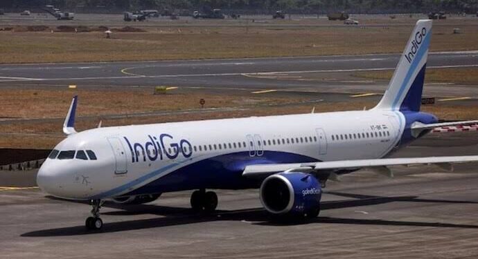 Indigo