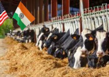 India dairy import restriction