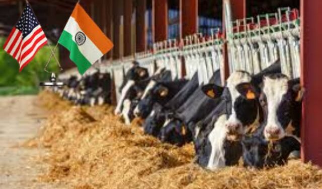 India dairy import restriction