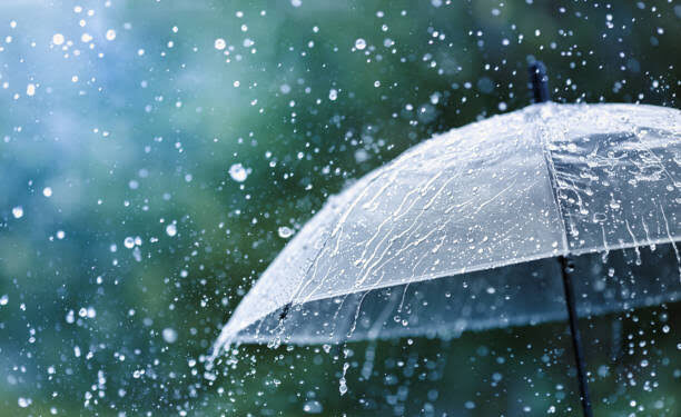 Odisha rainfall
