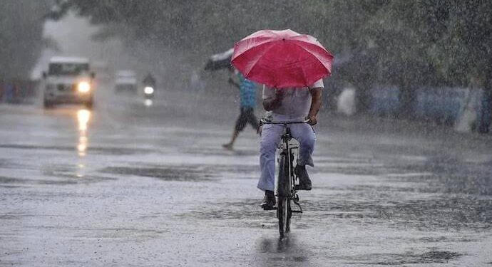 Odisha rainfall