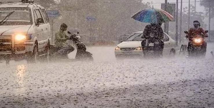 Odisha rain