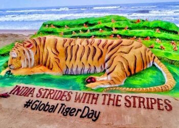 International tiger day