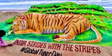 International tiger day