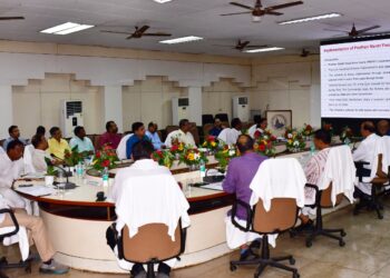 Odisha agricultural loans