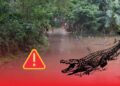 Crocodile Alert in Kendrapara
