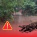 Crocodile Alert in Kendrapara
