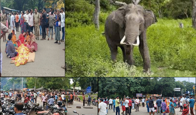 Elephant attack in Hindol