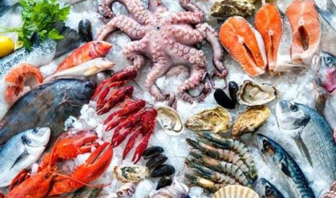 CETA Boosts Indian Seafood Exports to UK by 70%