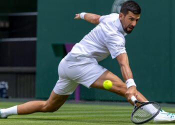 Djokovic Wimbledon 2025 victory