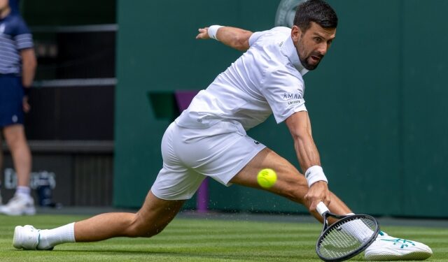 Djokovic Wimbledon 2025 victory
