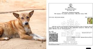Dog residence certificate