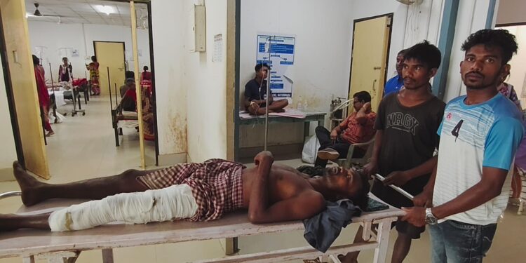 Bear attack Mayurbhanj
