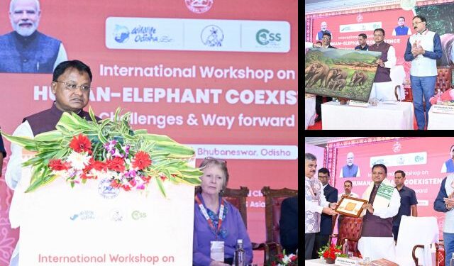 Human-Elephant Co-existence Workshop Odisha