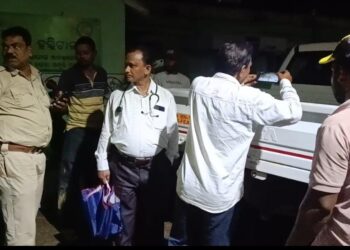 Elephant Attack Champua