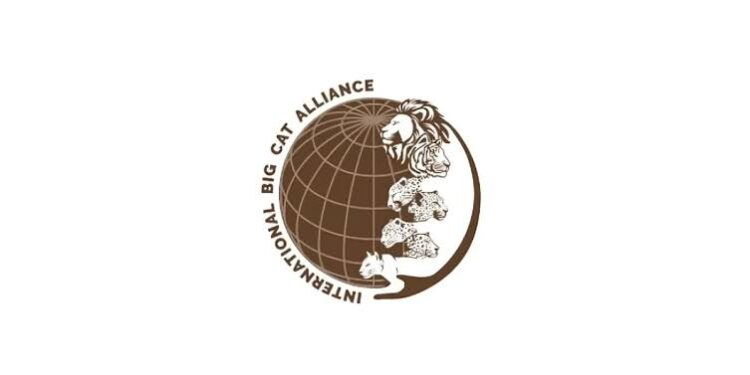 International Big Cat Alliance