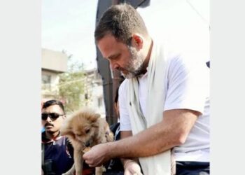 Rahul Gandhi Slams SC Stray Dog Order as “Cruel” and “Shortsighted”