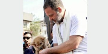 Rahul Gandhi Slams SC Stray Dog Order as “Cruel” and “Shortsighted”