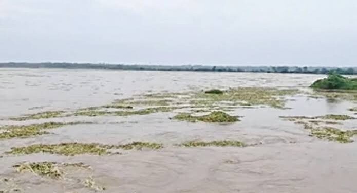 Subarnalekha