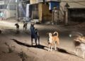 Bhubaneswar dog census