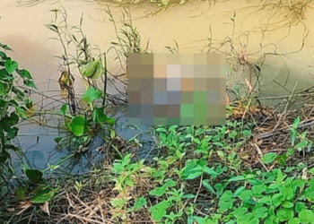 Missing toddler found dead in Palpala River