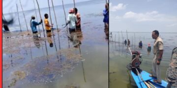 Chilika Lake Illegal Eviction