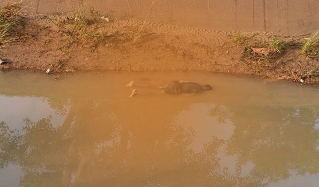 Man Drowns