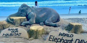 World Elephant Day Sand Art