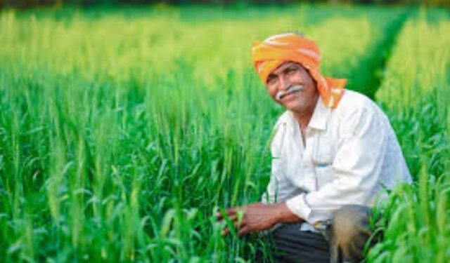 Odisha farmer registration 2025