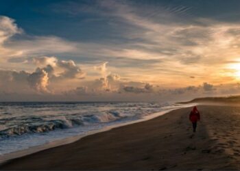Chandrabhaga Beach Drowning