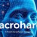 Elon Musk Macrohard AI software