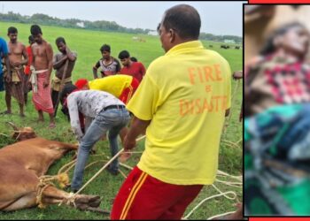 Brahmagiri bull attack