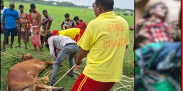 Brahmagiri bull attack