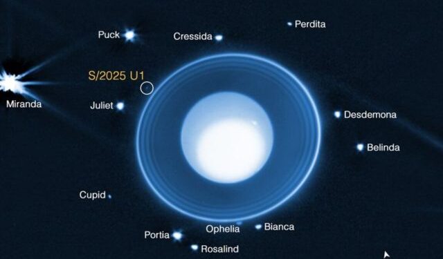 New Moon Orbiting Uranus