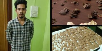 Pangolin trafficking Bhubaneswar