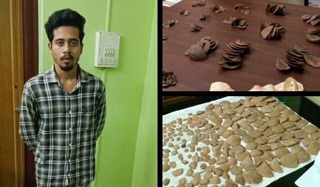 Pangolin trafficking Bhubaneswar