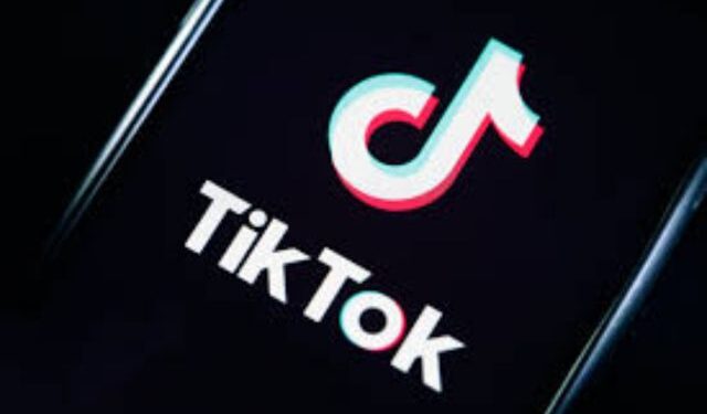 TikTok India comeback