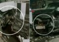 Four Injured in Midnight Head-On Collision at Rasulgarh Flyover’s No-Entry Zone