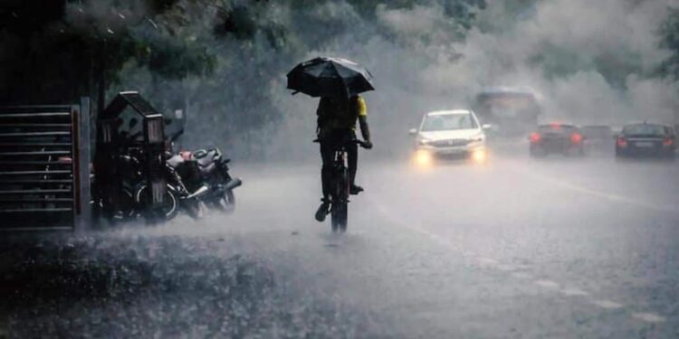 Rain