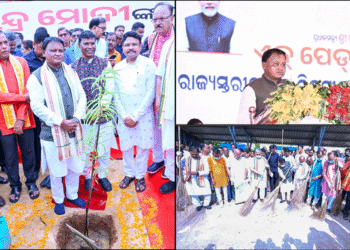 Odisha 75 lakh tree plantation Modi birthday