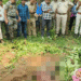 Elephant attack in Deogarh Odisha
