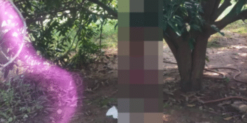 Bolangir man found hanging