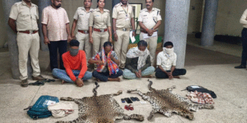 Leopard skins seized Rayagada 