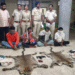 Leopard skins seized Rayagada
