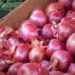Subsidized Onion Price India